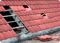 Blog 1 man worker firld by solar panels 2