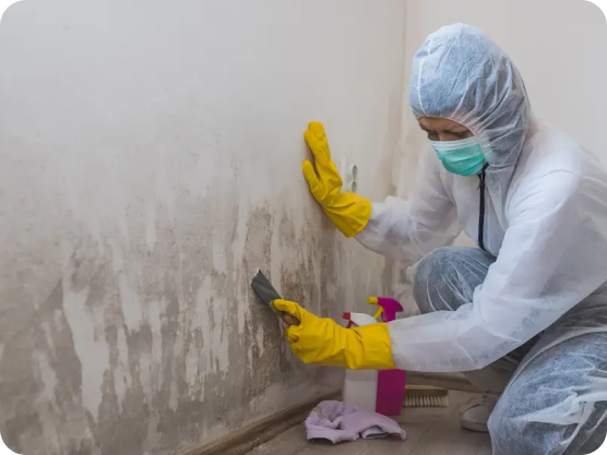 Reparación de Humedades y Filtraciones 16 Técnico con traje de protección quitando moho severo de una pared dañada por humedad.