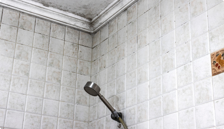 Reparación de Humedades y Filtraciones 3 Moho negro y suciedad por humedad en azulejos de baño y techo, cerca de una ducha.
