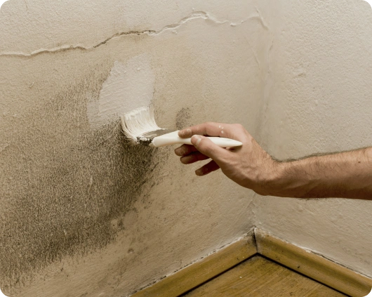 Reparación de Humedades y Filtraciones 2 Mano aplicando pintura anti-humedad sobre pared con manchas negras, indicando moho o filtración.
